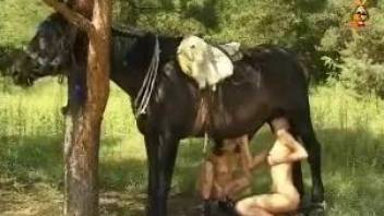 Skinny sluts work giant horse dick in outdoor zoo cam play
