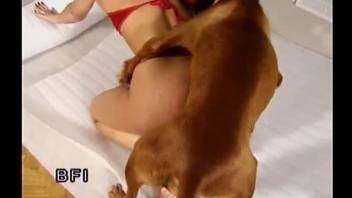 Bleached beauty gets drilled by her own doggy