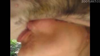 Blonde cougar is getting some jizz by her doggy