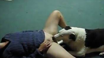 Sweet doggy is enjoying this girl's puss