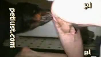 Hot ebony babe in doggy style gets anal pounding from the rear