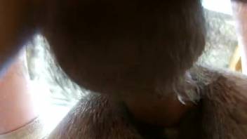 Guy with huge cum-filled cock bangs a tiny white mare doggy-style