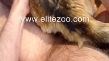 Guy screws his little pup in the cowgirl position because he loves it