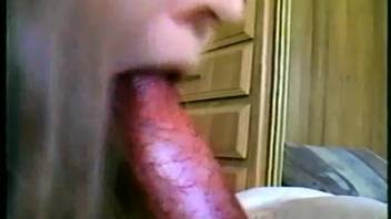 Intense rough doggystyle pounding with a well-endowed beast