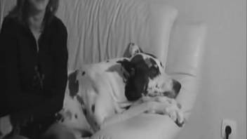 Filthy teen tempts a canine with her wet vagina