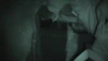 Guy sucking huge equine cock