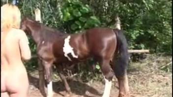 Curvy-hipped country lass bangs a massive chestnut steed on the ranch