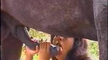 Outdoor orgy involving two horses and two girls