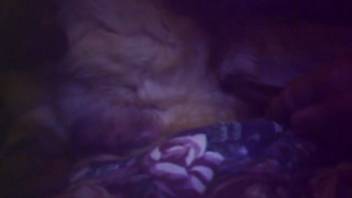Intense animal sex pounding sequence you absolutely must view
