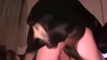 Alluring anal intercourse clip featuring a lustful male bestiality enthusiast