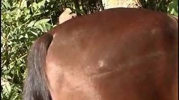 Naked blonde gets roughly pounded in her vagina by the horse