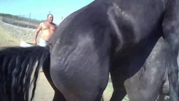 Hot mares relishing outdoor sex on camera