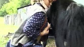 Rural farm girl 18+ devours a pony's stunning shaft