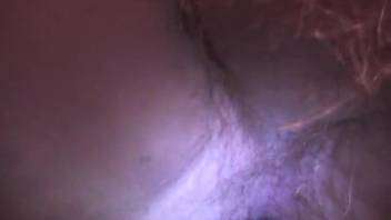 Guy intensely penetrates equine rear in insane extreme close-up bestiality porn