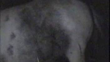Guy intends to perform fellatio on that horse's penis during the midnight hours
