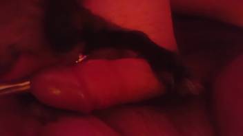 Canine arouses guy during his live cam solo pleasure session