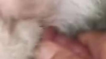 Perfect dog hole getting fucked in a hot video