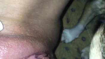 Detailed oral sex footage featuring a steamy vagina lover