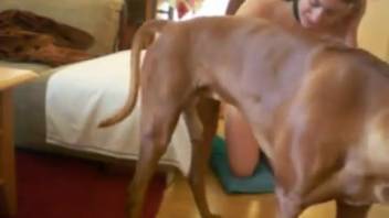 Busty babe drilled doggy style by a dark brute