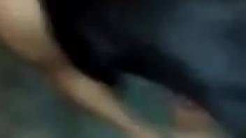Curvy-assed animal lover being hammered by a pup