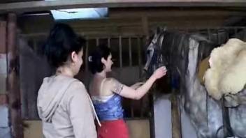 Teen 18+ gal pals enthusiastically fellating a stallion's dick