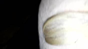 Midnight bestiality session with an insatiable guy