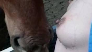 Brown-haired sweetie is sucking a big cock of a small pony