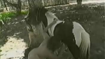 Wild outdoor animal sex film featuring perverse anal action