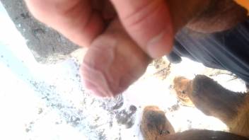 Fantastic horse vagina being penetrated by an incredibly arousing uncircumcised penis