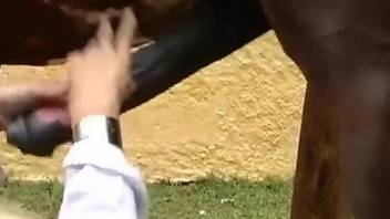 Veterinarian fucking a horny horse from behind