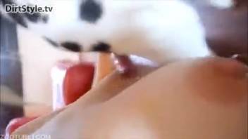 Incredible Dalmatian tongues her pussy in missionary position