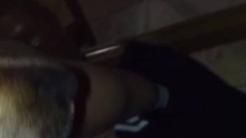 Guy with a bushy dick banging a mega-hot canine