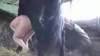 Attractive lady with large breasts manages enormous horse dick in flawless adult scene