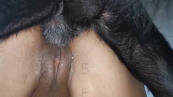 Voluptuous woman being pounded by a sleazy mutt right in this spot