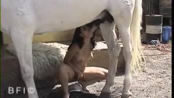 Attractive dark-haired woman attempts to have sex with a large, aroused horse