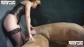 Massive filthy swine rammed a lithe hottie in stockings
