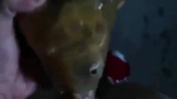 Guy bangs a lifeless fish to prove what a massive alpha male he is