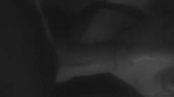 Midnight bestiality video features aroused female blowing a canine cock