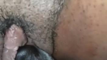 Aroused woman tongued the dog until achieving climax