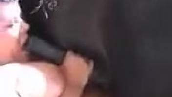 Slutty equine vixen screwing a well-endowed stud in this spot