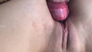 Slender vixen deepthroats massive canine shaft in superb adult film