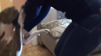 Delicious pussy of an aroused thick white girl 18+ is tongued by a dog