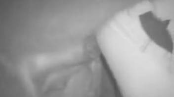 Rancher with curvy rear bangs a massive horse at night